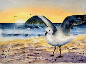 Sunset Seagull watercolour painting by Trish Davis